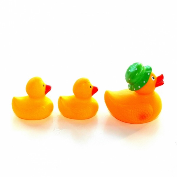 ducks
